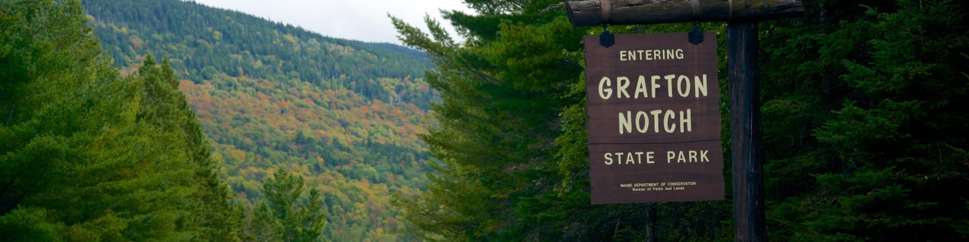 Maine que incluye escenas forestales y señalización