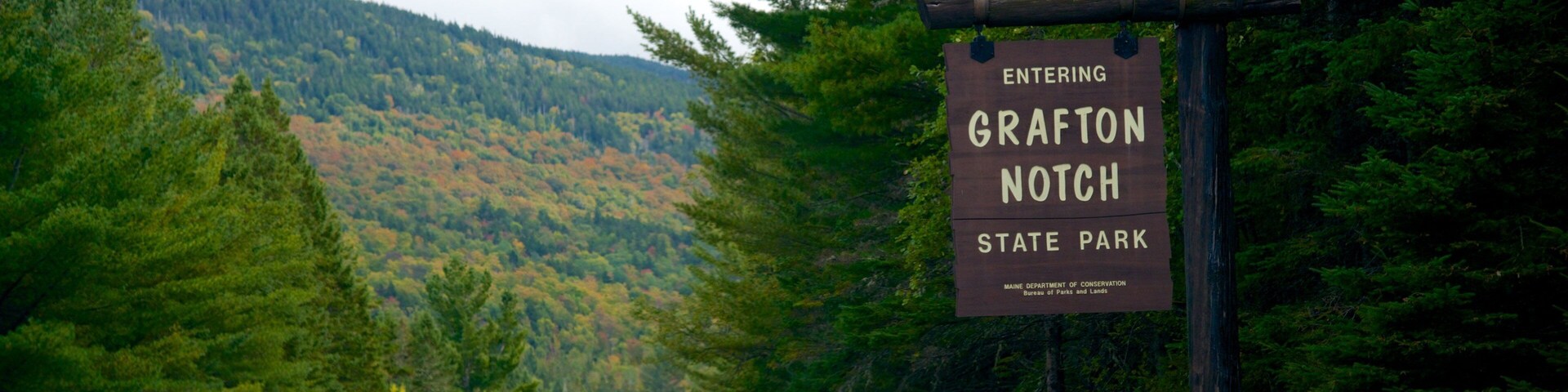 Maine showing signage and forests