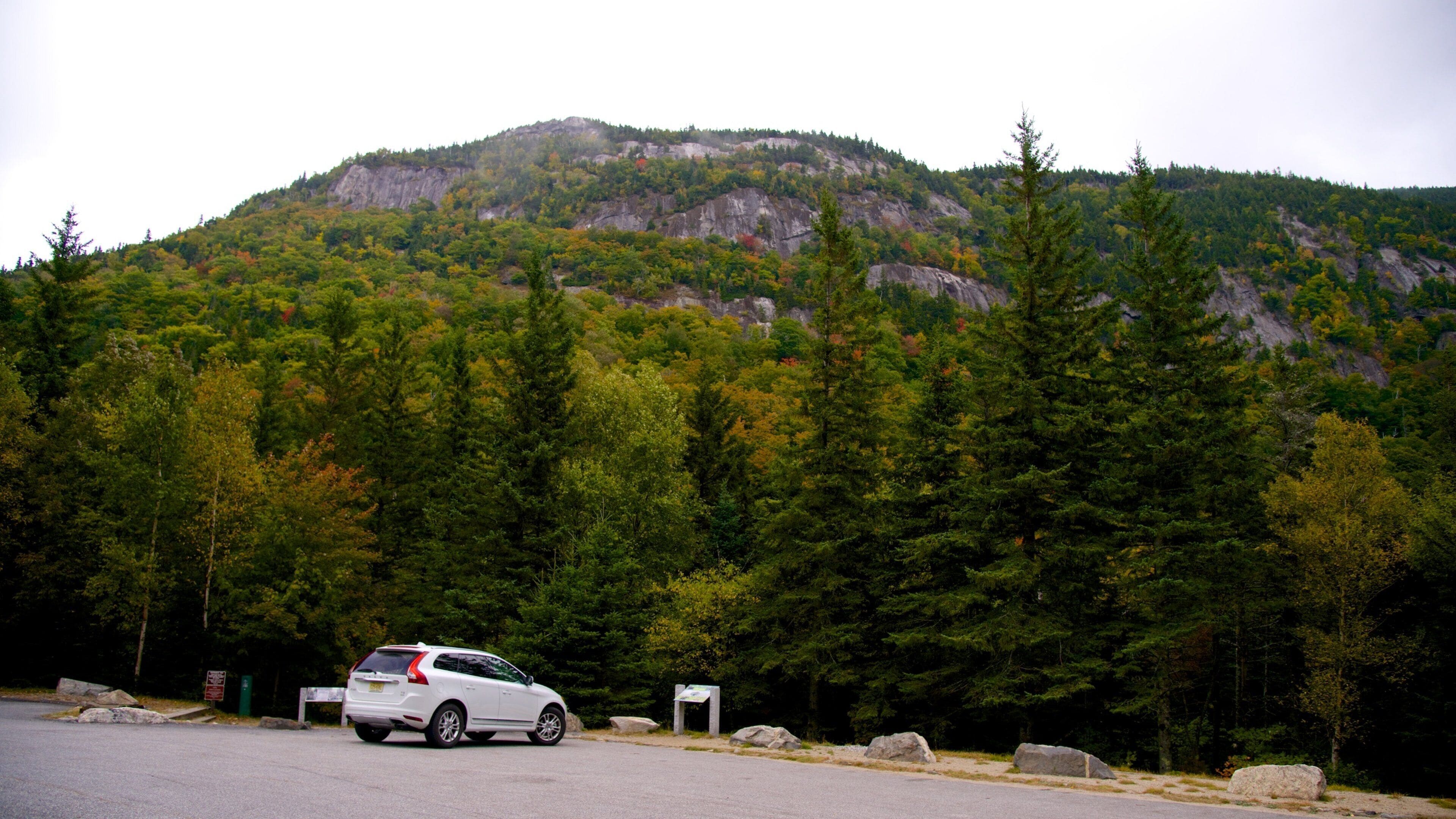 Grafton Notch State Park som viser fjell og skog