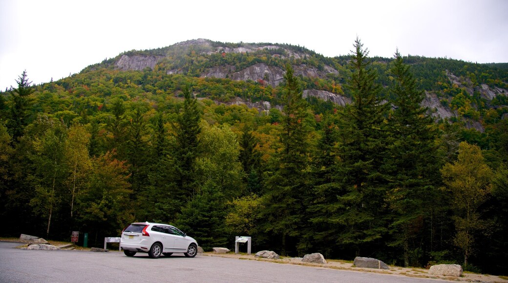 Grafton Notch State Park som viser fjell og skog