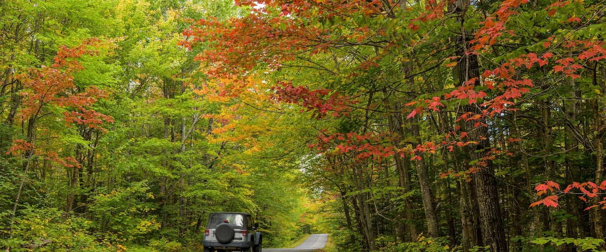 Autumn Forest Road - A SUV driving on a colorful Autumn road in a dense forest in Rangeley Lake State Park, Rangeley, Maine, USA.