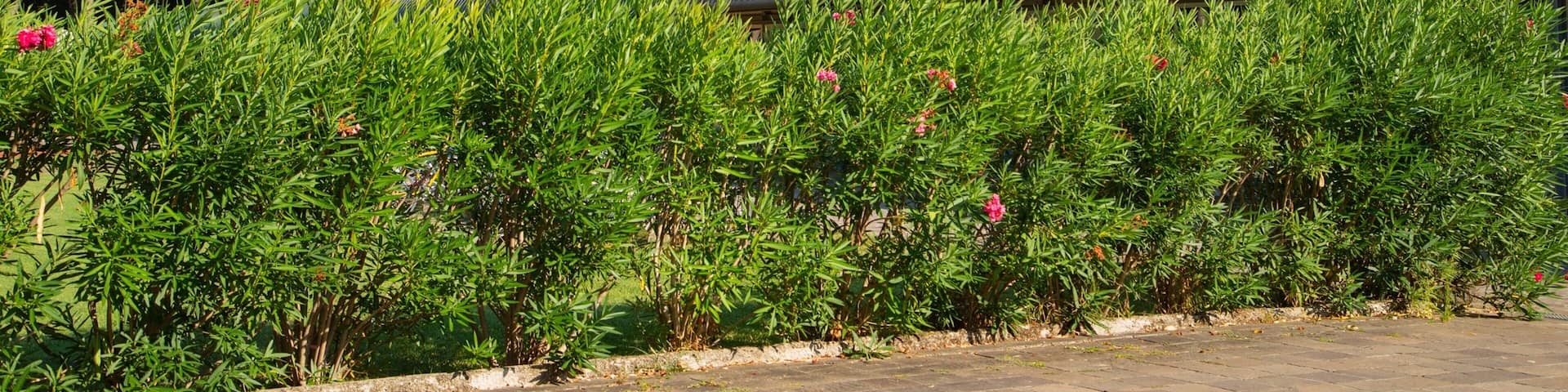 Cervia Thermal Baths
