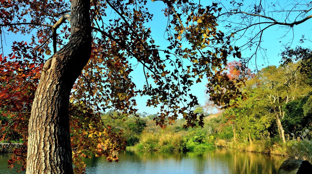 308, Taiwan, æ°ç«č瞣毶汱éæČčç°æ