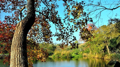 308, Taiwan, 新竹縣寶山鄉油田村