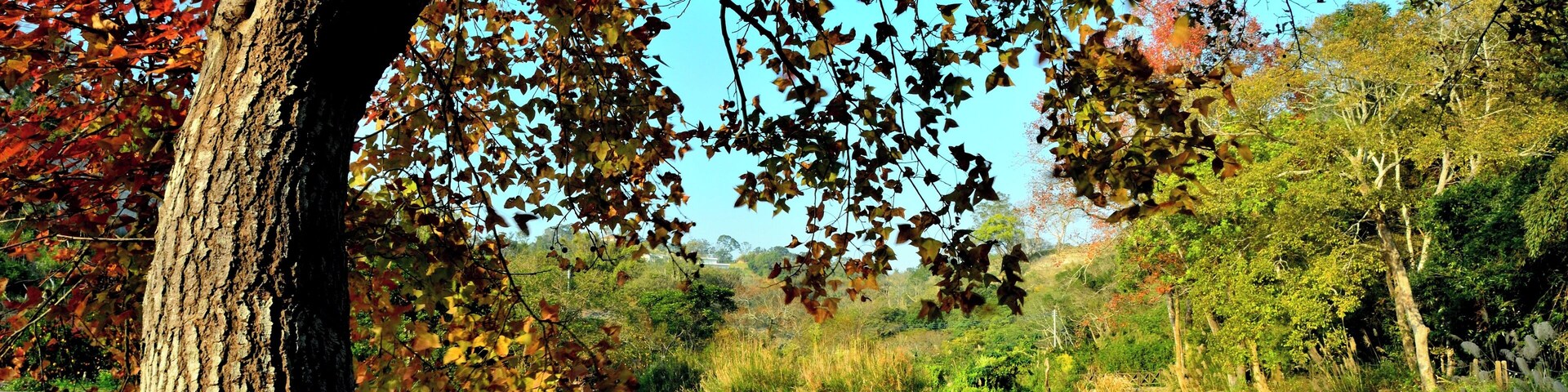 308, Taiwan, 新竹縣寶山鄉油田村