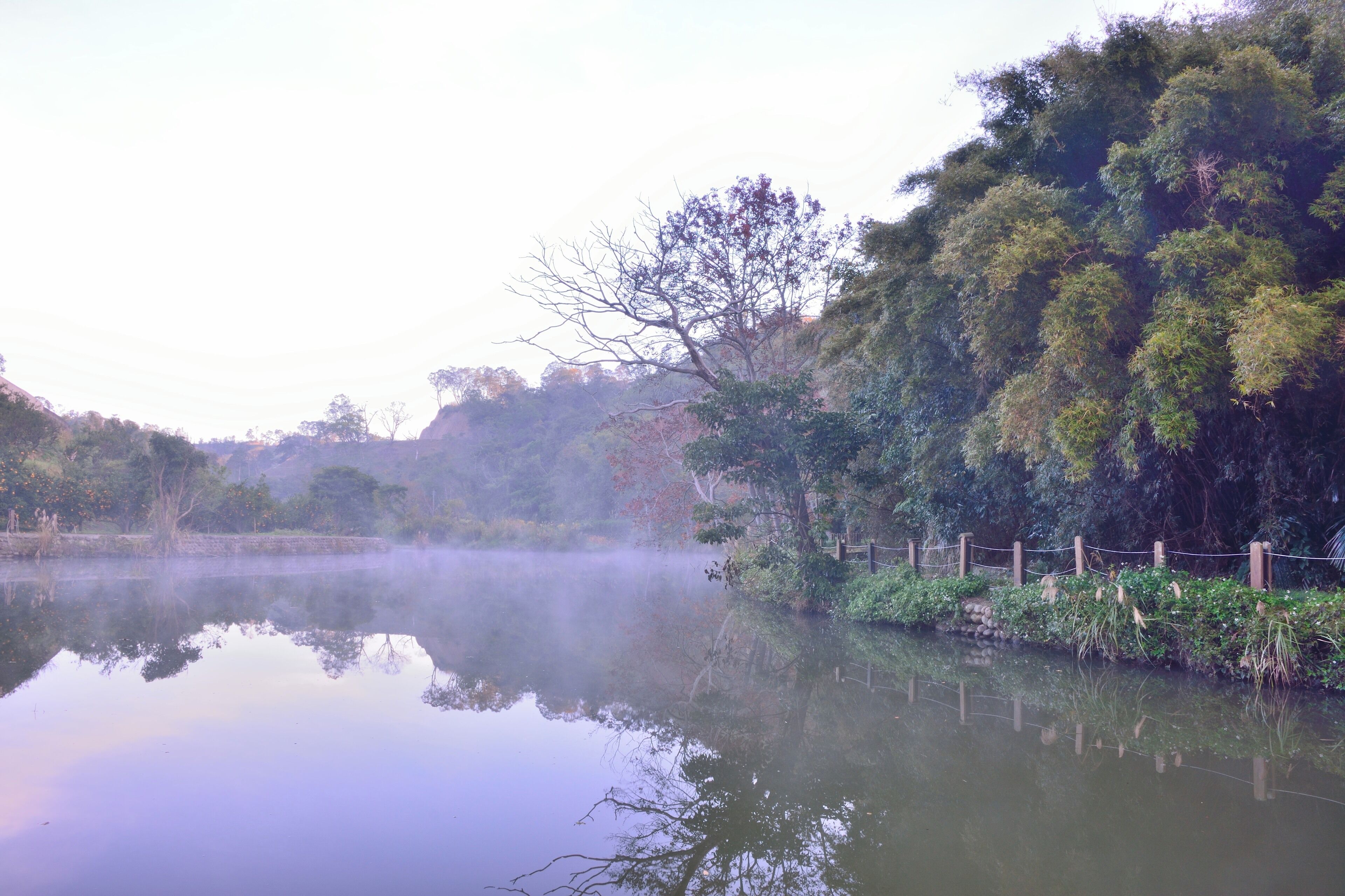 308, Taiwan, 新竹縣寶山鄉油田村