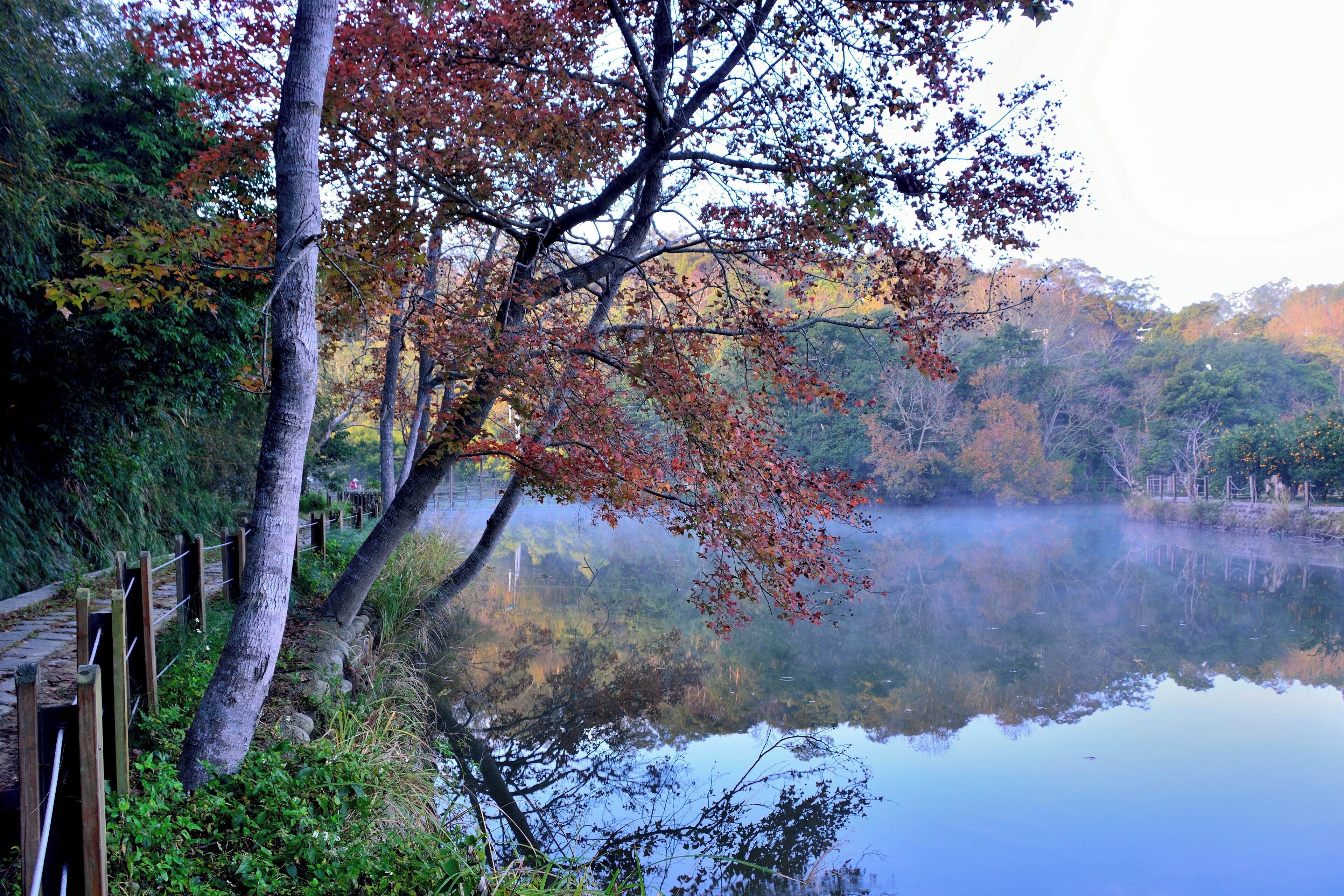 308, Taiwan, 新竹縣寶山鄉油田村