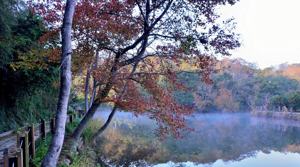 308, Taiwan, æ°ç«č瞣毶汱éæČčç°æ