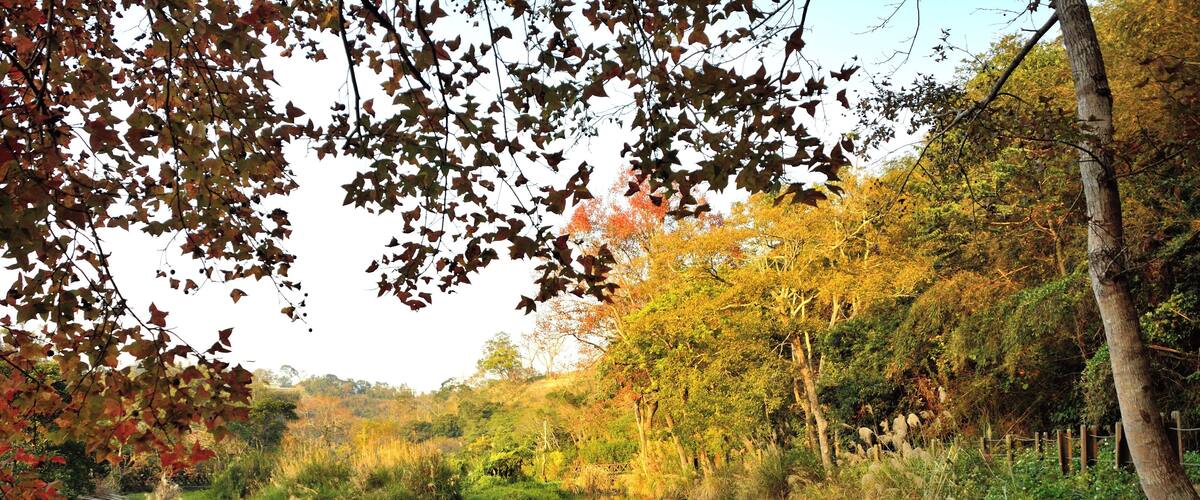 308, Taiwan, ๆฐ็ซน็ธฃๅฏถๅฑฑ้ๆฒน็ฐๆ