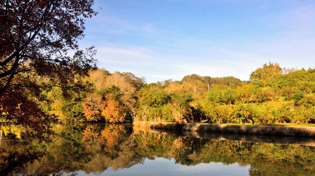 308, Taiwan, 新竹縣寶山鄉油田村