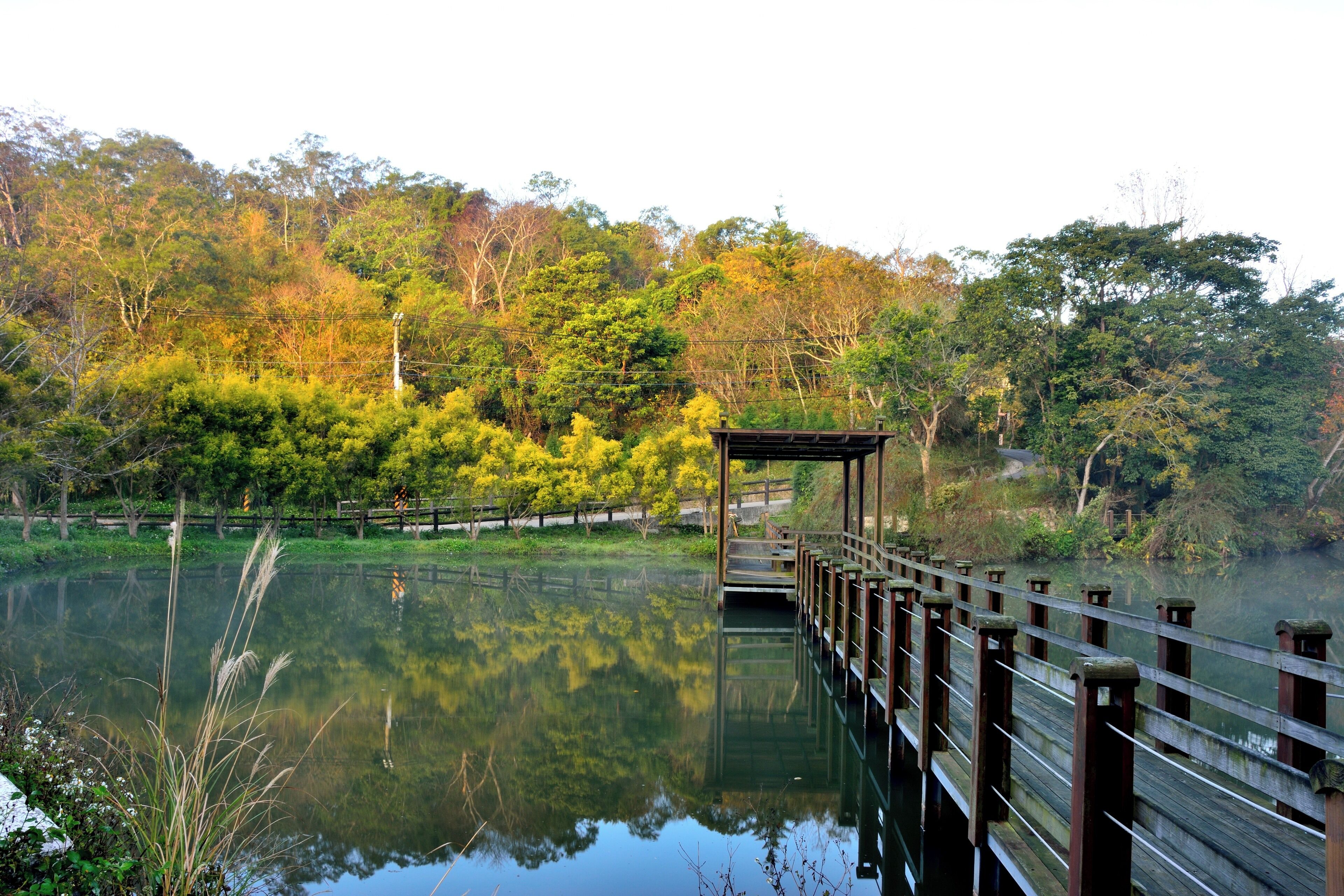 308, Taiwan, 新竹縣寶山鄉油田村