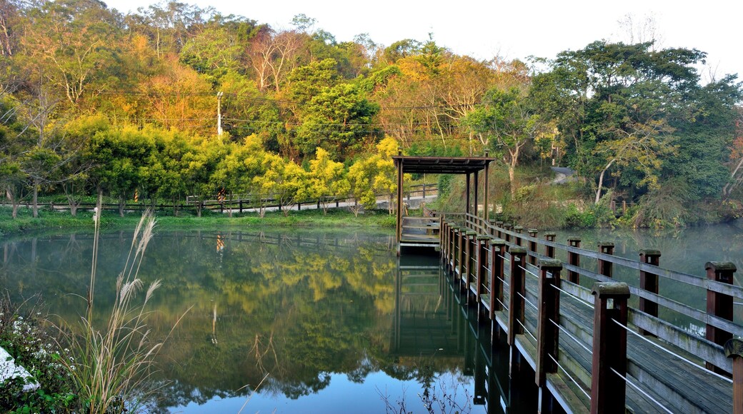 308, Taiwan, æ°ç«č瞣毶汱éæČčç°æ