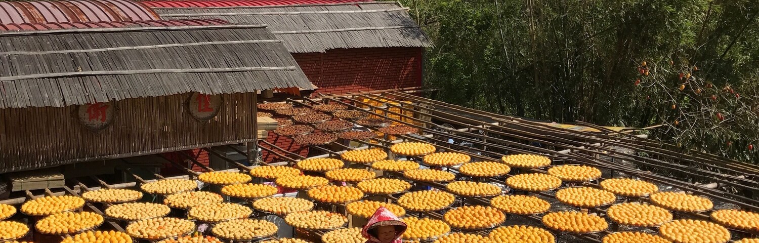 Persimmons drying under the sun in Xinpu.