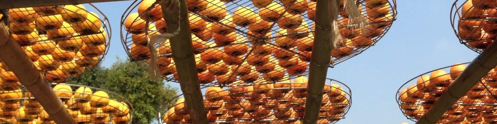 Sun drying persimmon and turn them into snacks is a famous tradition here!
#delicious