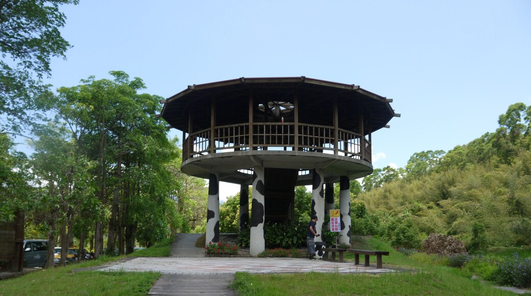 花蓮縣瑞穗鄉 瑞穗牧場 觀景平台 Ruisui Ranch(Ruisui,Hualien)