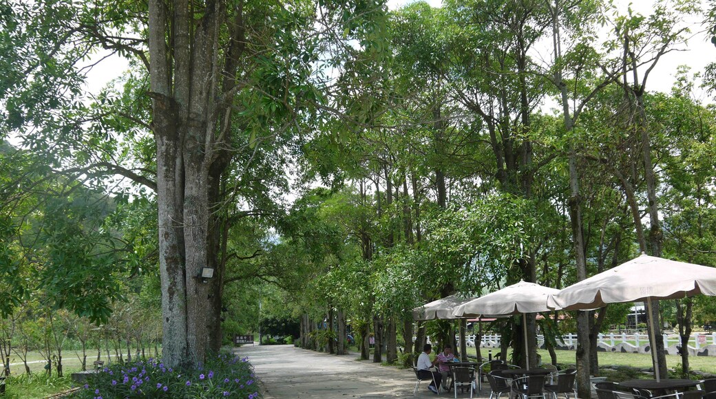 ่ฑ่ฎ็ธฃ็็ฉ้ ็็ฉ็งๅ ด Ruisui Ranch(Ruisui,Hualien)