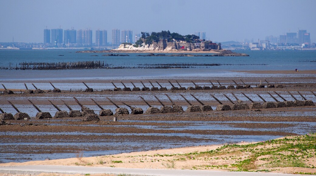 遍布反登陆桩的上林海滩 - Anti-landing Spikes on Shanglin Coast - 2014.09