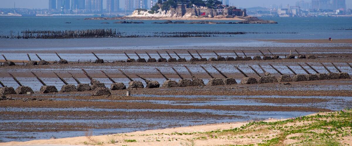 遍布反登陆桩的上林海滩 - Anti-landing Spikes on Shanglin Coast - 2014.09