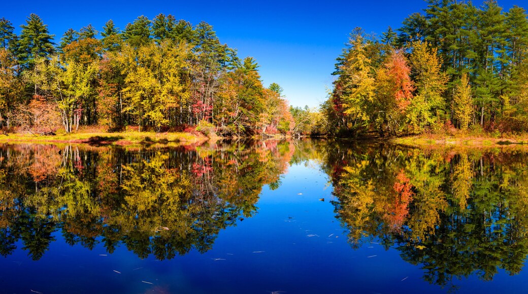 Panoramic view of Saco river and Hemlock bridge at fall