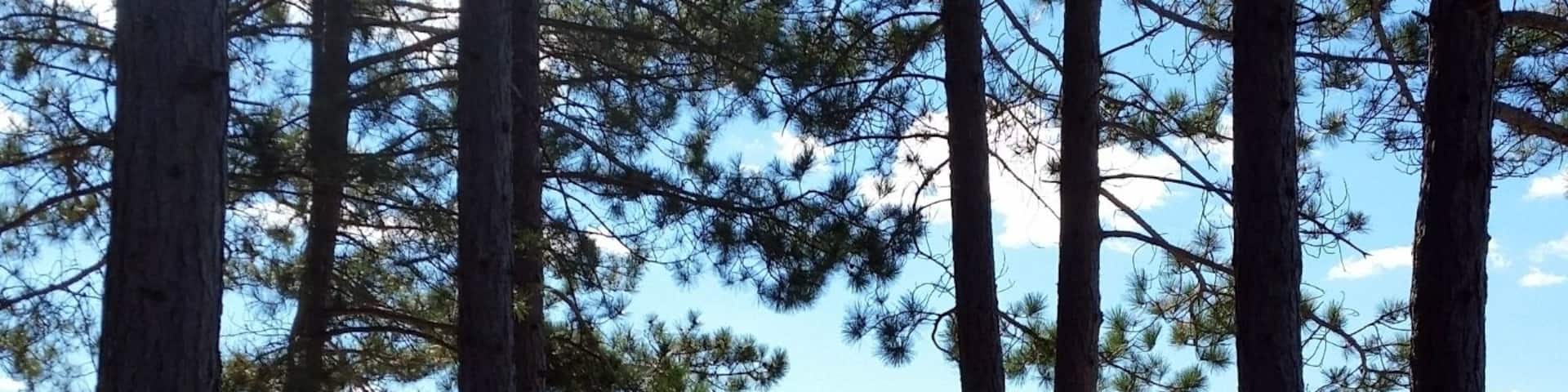 Lily Bay State Park on Moosehead Lake in Maine