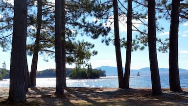 Metsäinen alue, jossa on korkeita puita ja järvi.