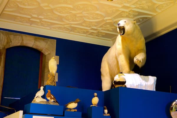 Peary-MacMillan Arktisches Museum das einen Innenansichten