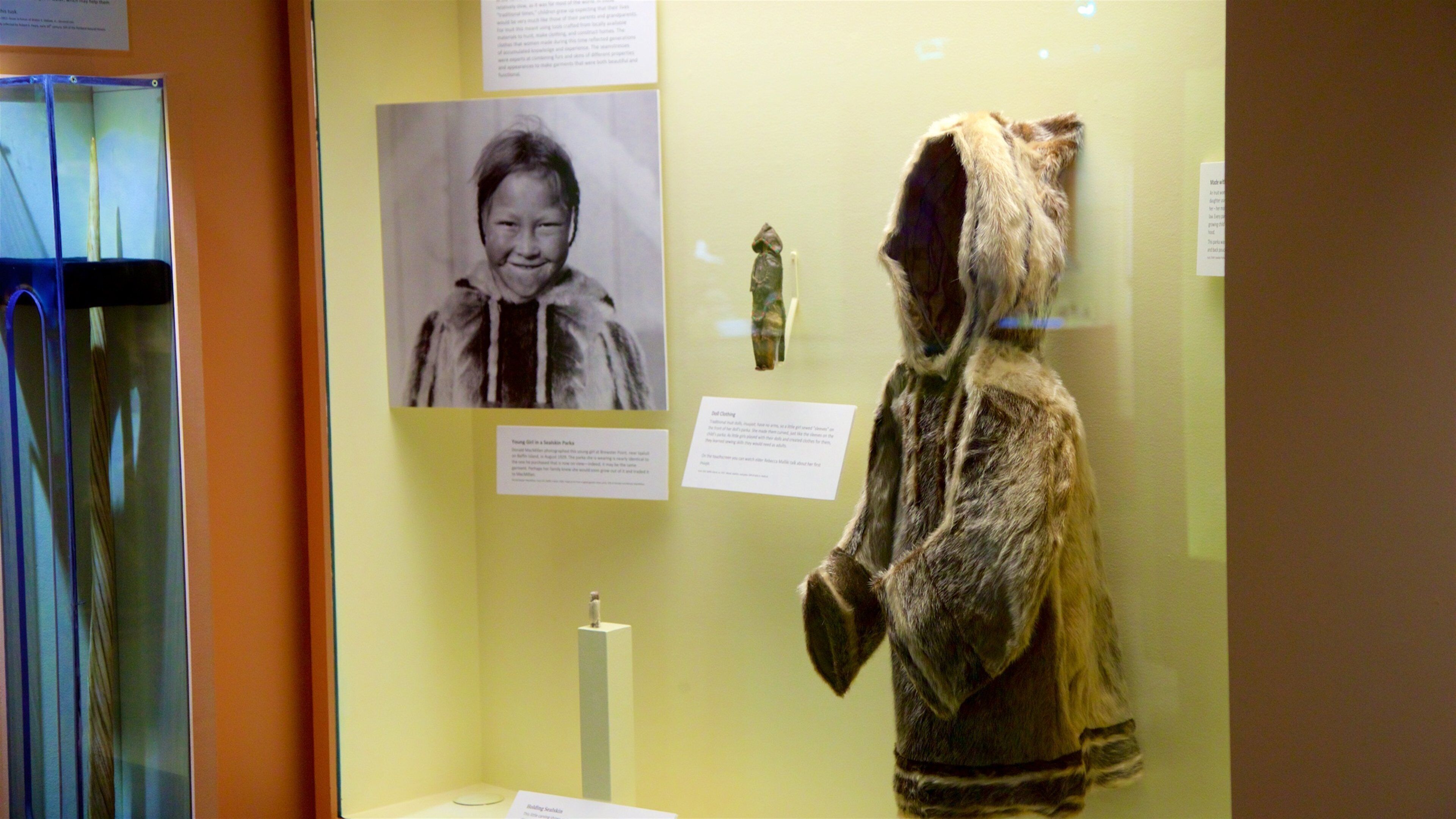 Peary-MacMillan Arctic Museum som inkluderar interiörer