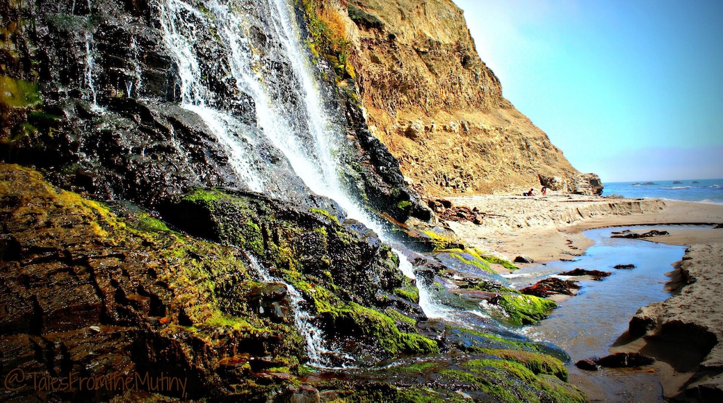 Nestled along Point Reyes National Seashore, Alamere Falls is a unique hiking destination where a waterfall meets the ocean. The waterfall actually has several tiers and offer great views and a nice spot to cool off. Perfect #beach for picnicking too!