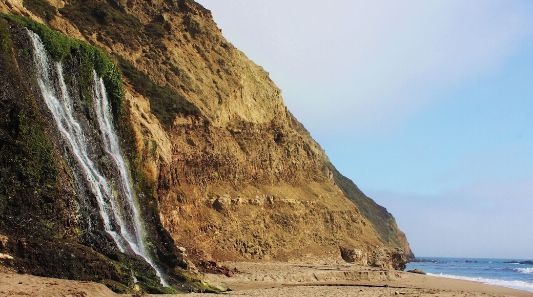 Alamere Trail is an unmaintained leg of the Coastal Trail in Point Reyes National Seashore. Well worth the time and poison oak risk. Picnic right between the Pacific Ocean and a waterfall. #nationalseashore #nationalparks