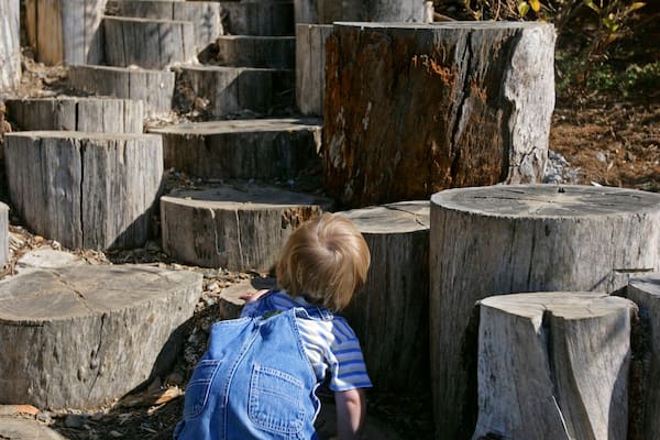jack climbing stumps