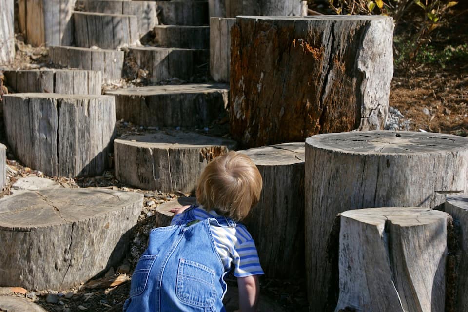 A child climbing wooden steps made of tree stumps.