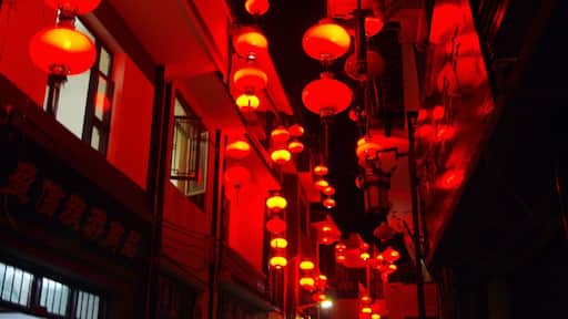 At night the alleys of Zhijin in Guizhou province are lit #red with a beautiful light display that is a modern homage to the street lanterns of old China.
#china #guizhou #zhijin #lanterns