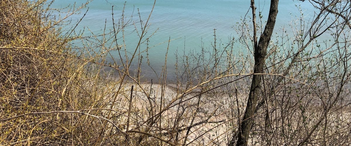 A beach with clear turquoise water, surrounded by dry, leafless trees and shrubs.
