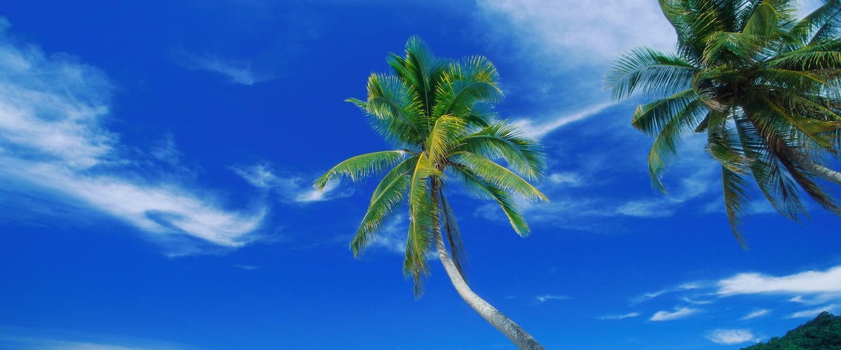 A beach with white sand, clear turquoise water, and palm trees against a blue sky.