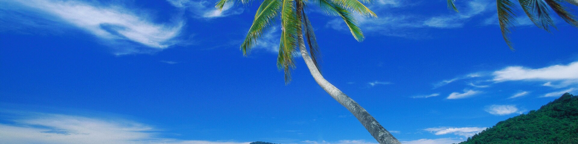 A beach with white sand, clear turquoise water, and palm trees against a blue sky.