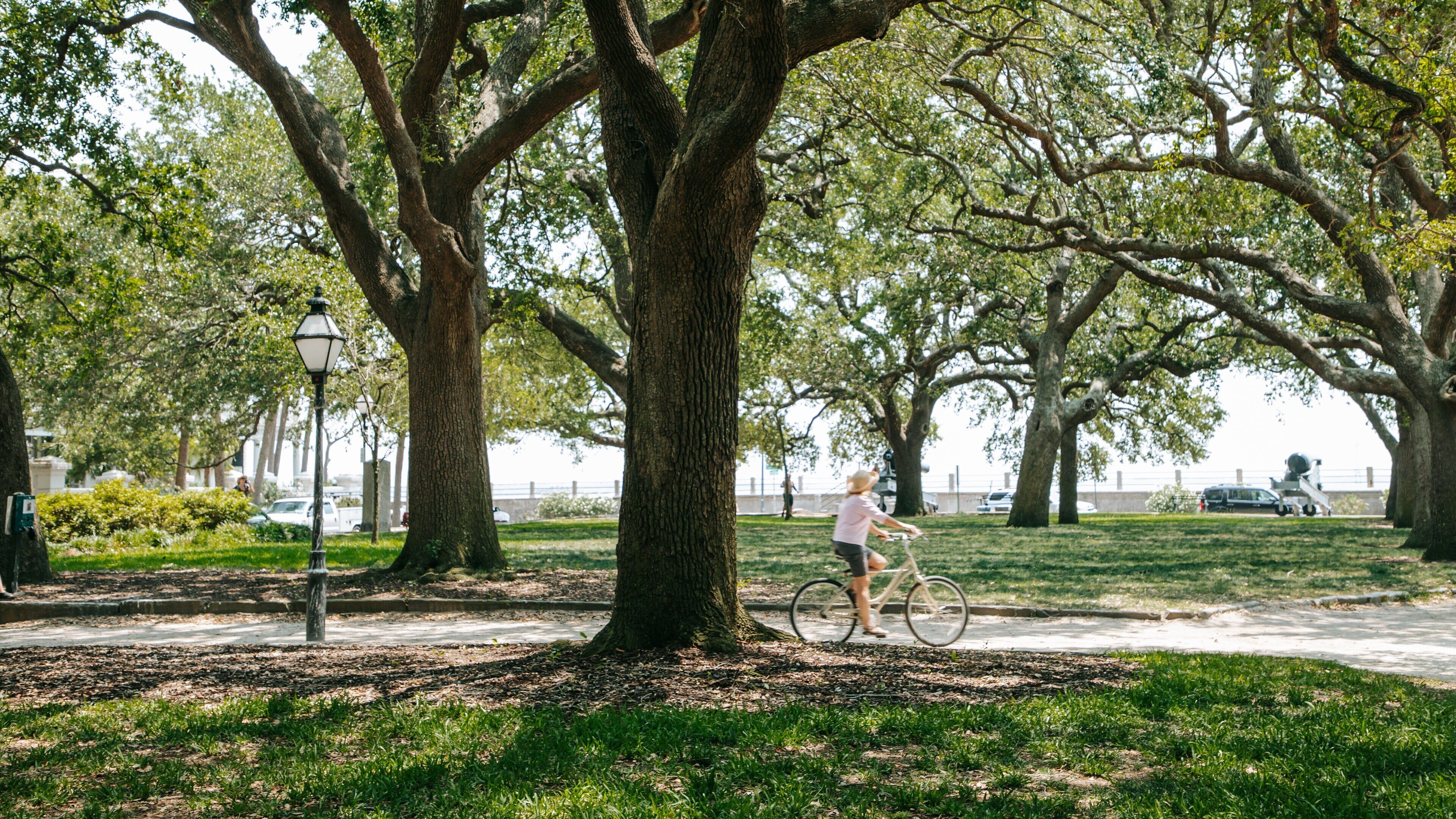 White Point Gardens showing a garden and cycling