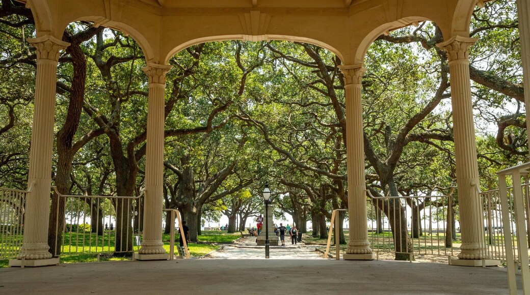 White Point Gardens featuring a park