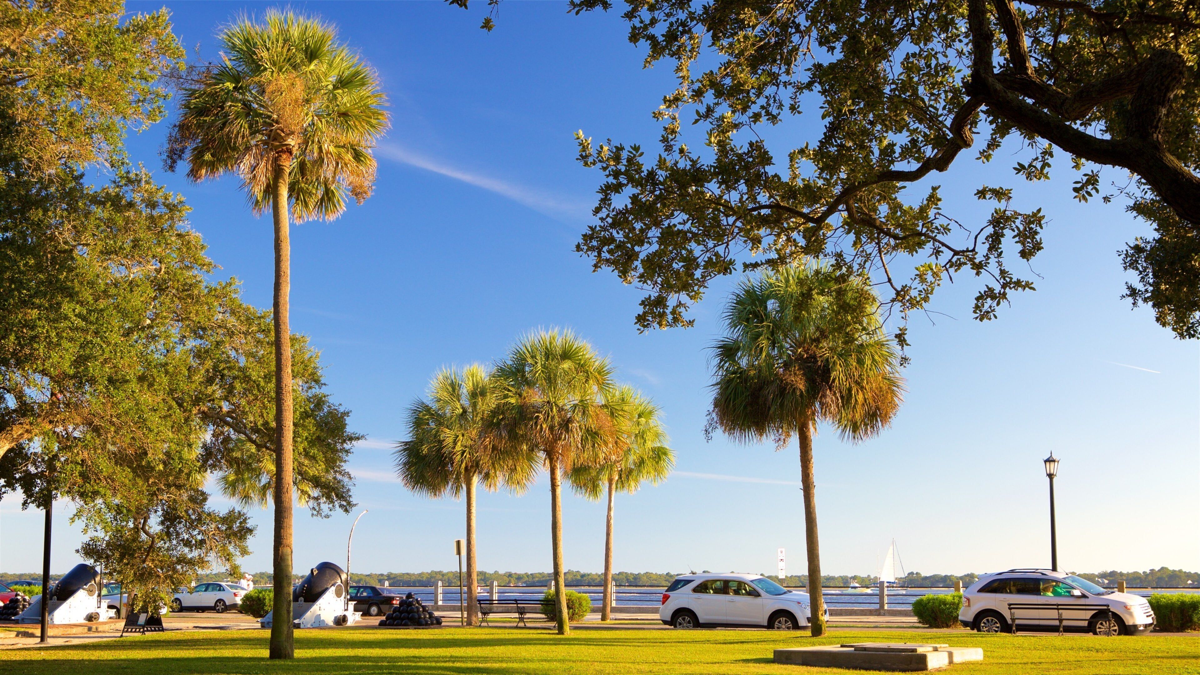 White Point Gardens showing a garden