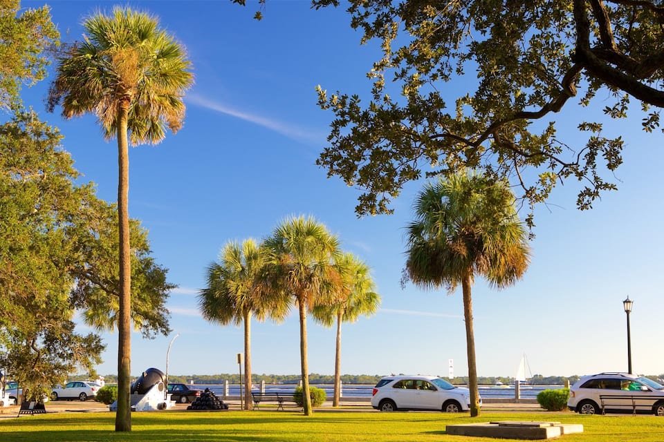 A park with palm trees, a body of water, and parked cars.