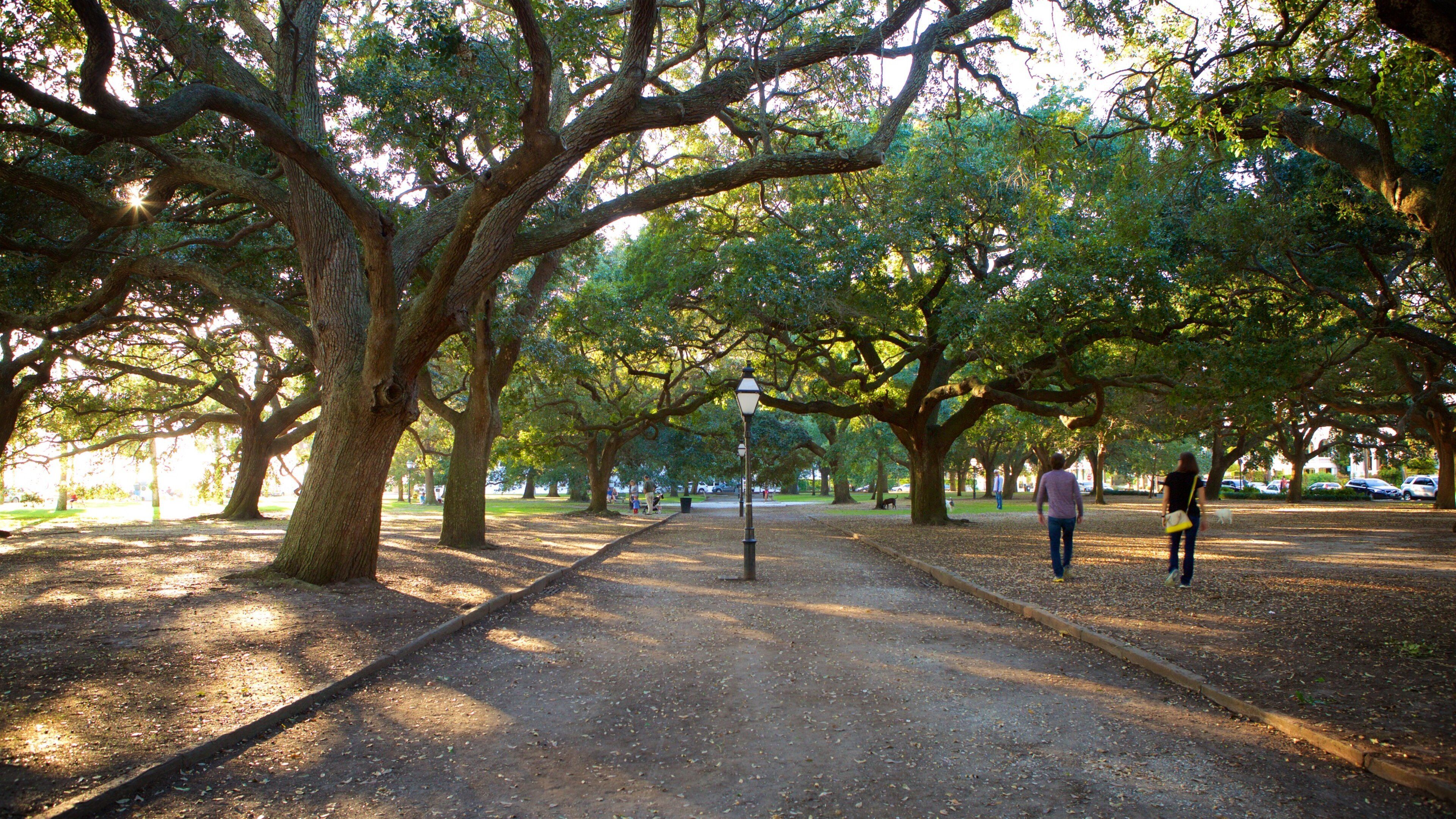 Charleston qui includes jardin