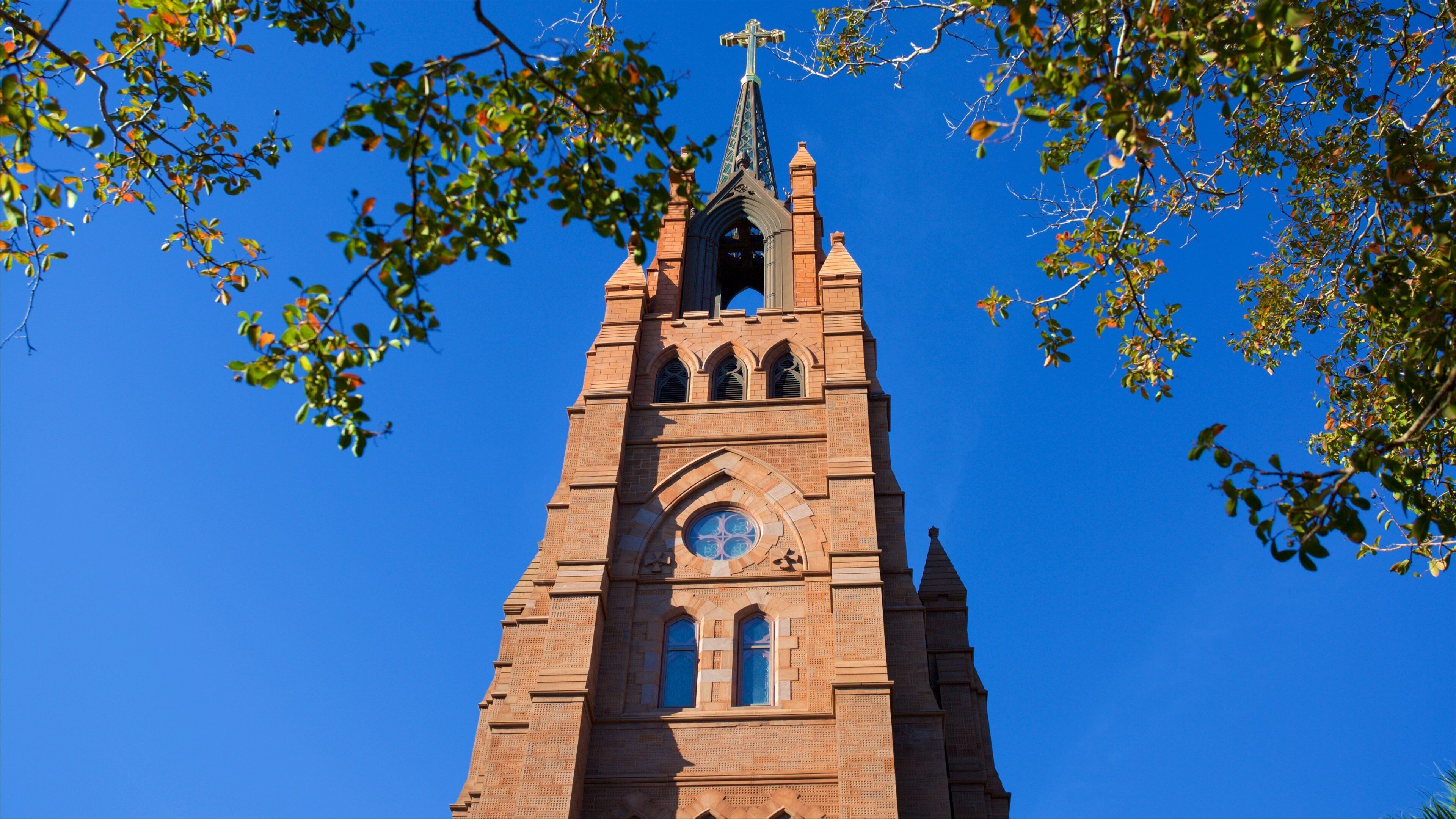 Cathedral of Saint John the Baptist showing a church or cathedral and heritage architecture