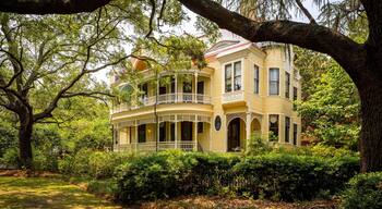College of Charleston showing a house and heritage elements