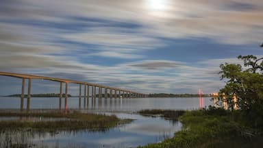 Un puente largo sobre aguas tranquilas con su reflejo, rodeado de marismas y árboles.