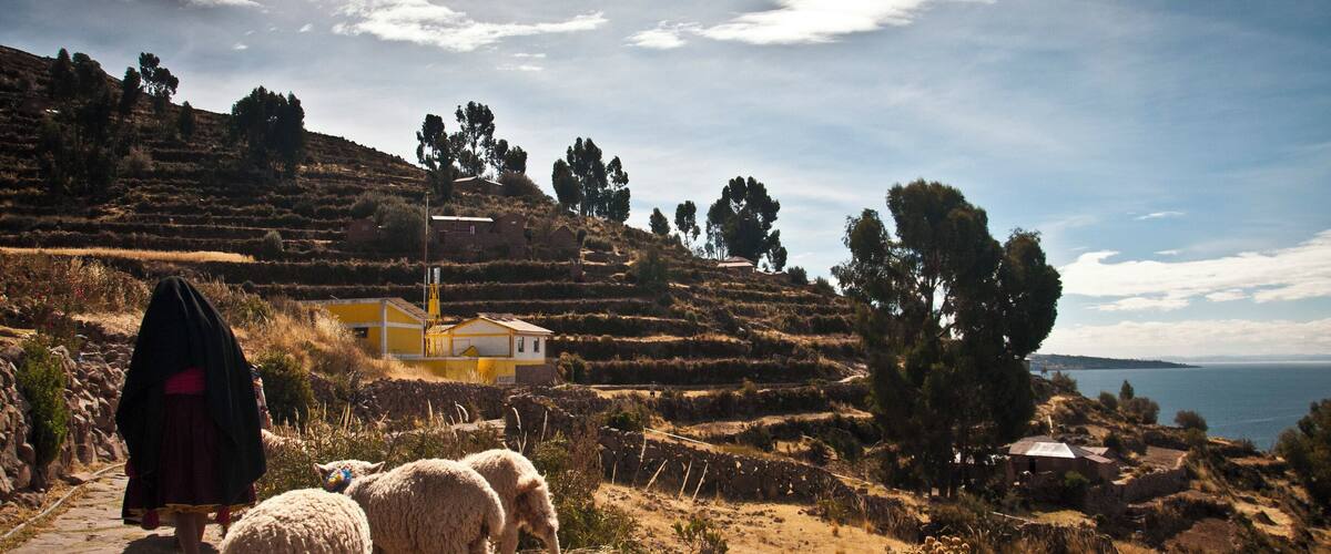 A rural landscape with terraced fields, a stone pathway, and a person with sheep.