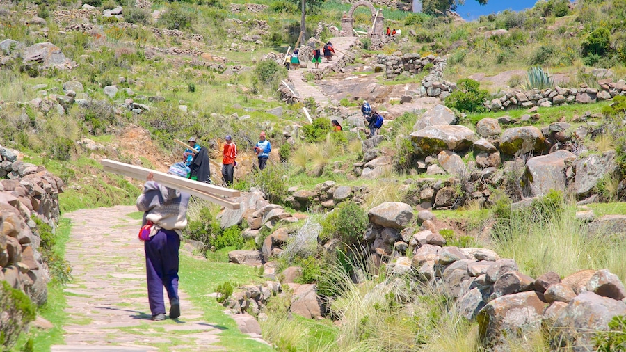 Isla Taquile featuring tranquil scenes as well as a small group of people