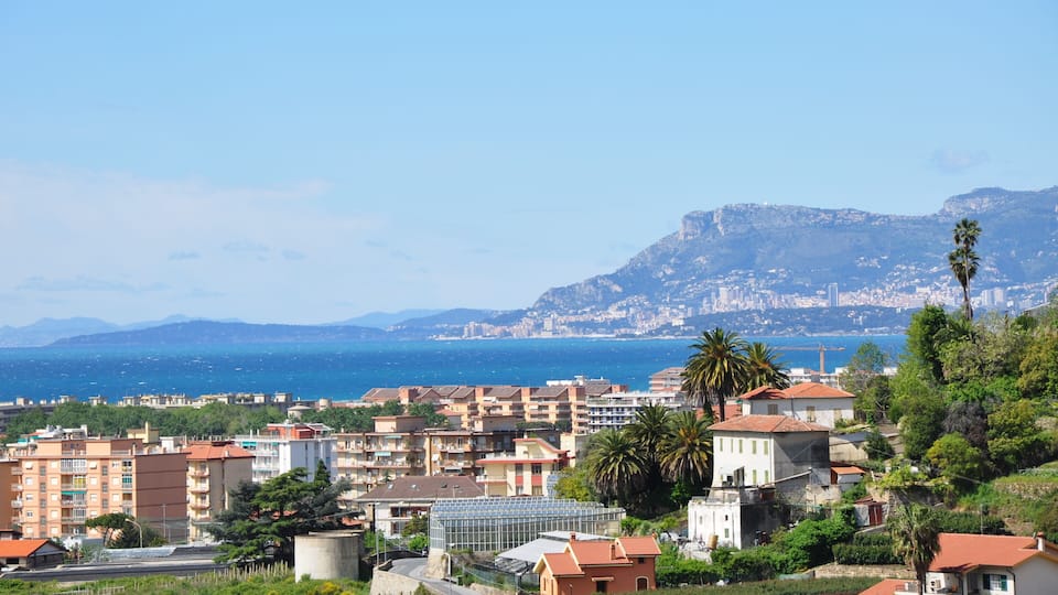 A coastal town with buildings, palm trees, and a mountain in the background.