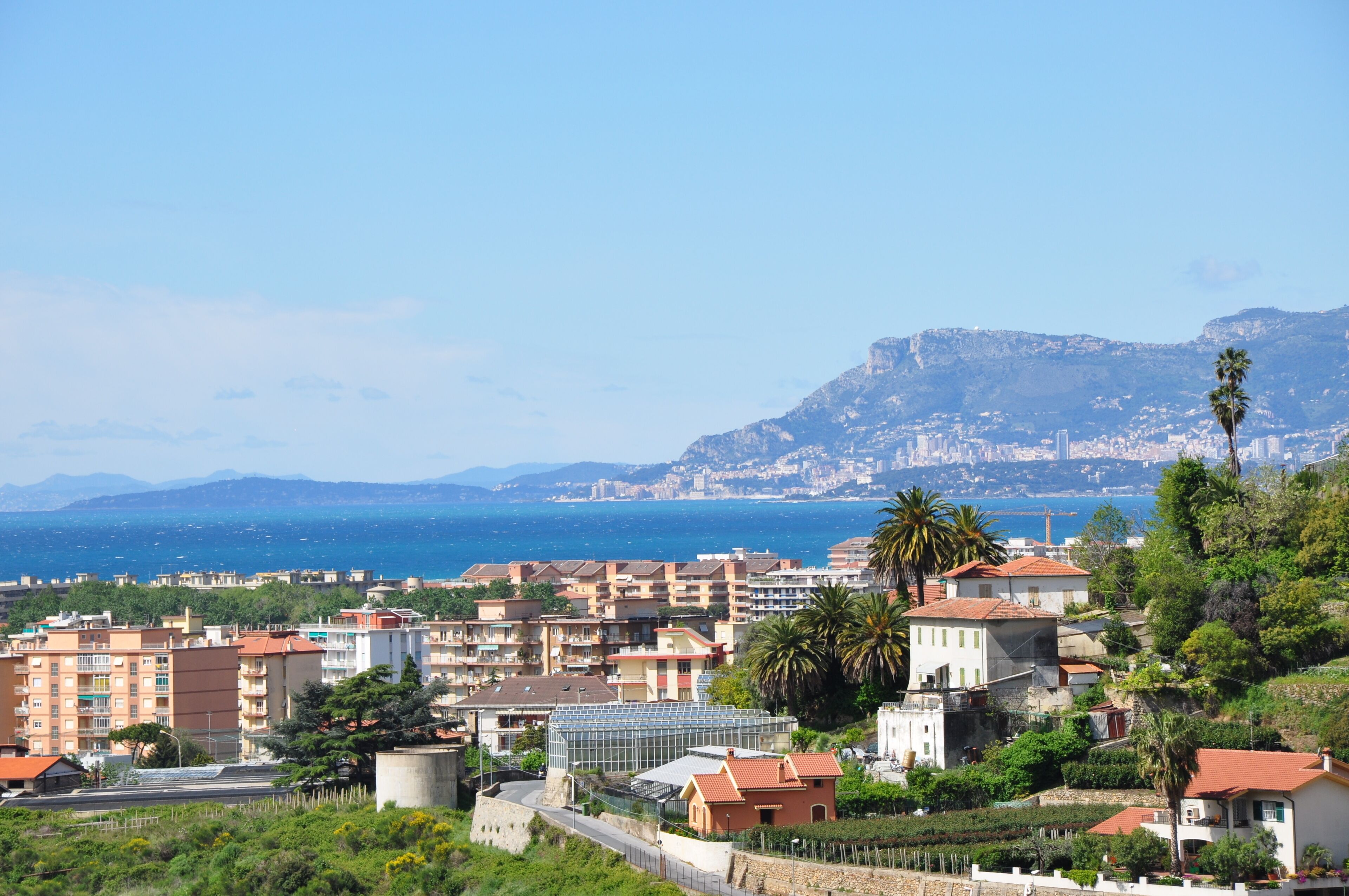 A coastal town with buildings, palm trees, and a mountain in the background.