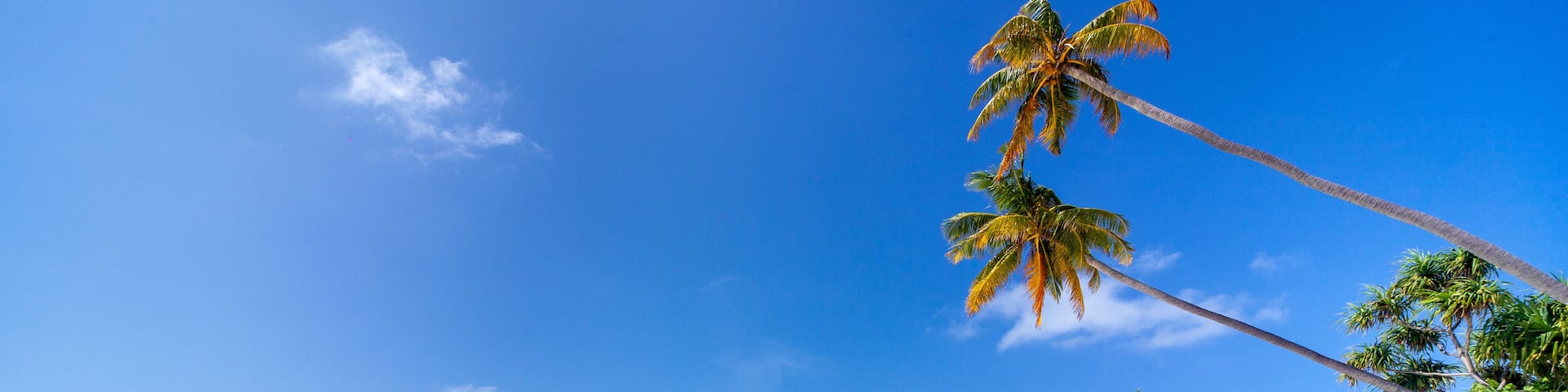 The beautifull beach of Dhangethi, maldives. Known for Diving, day tour for resort and this beautifull beaches and the swing in the water