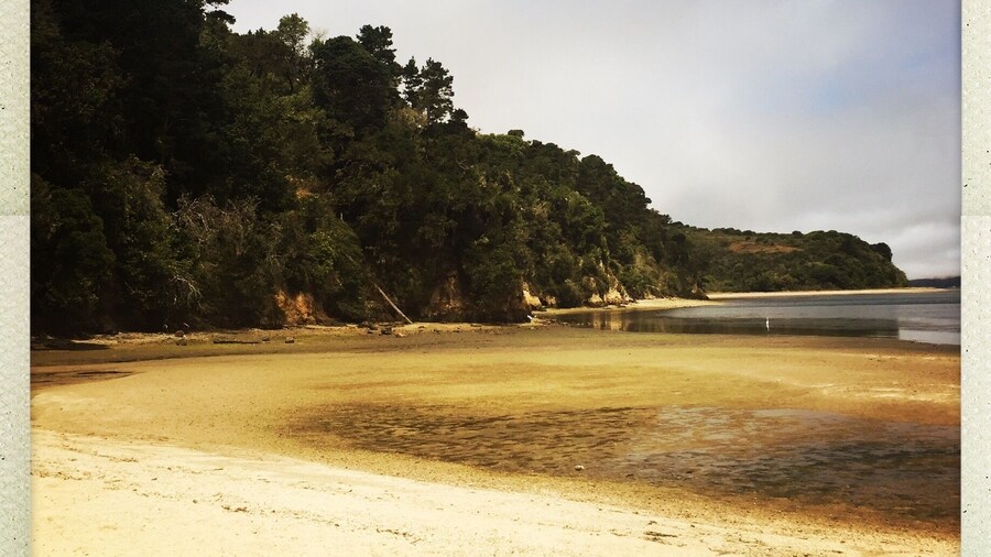 Pack drinks, there are no stores on site