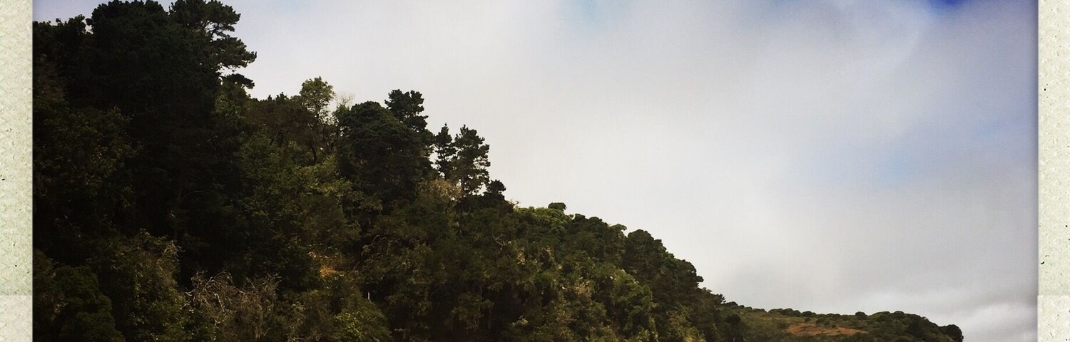 Pack drinks, there are no stores on site